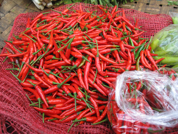 Thai Chili Peppers