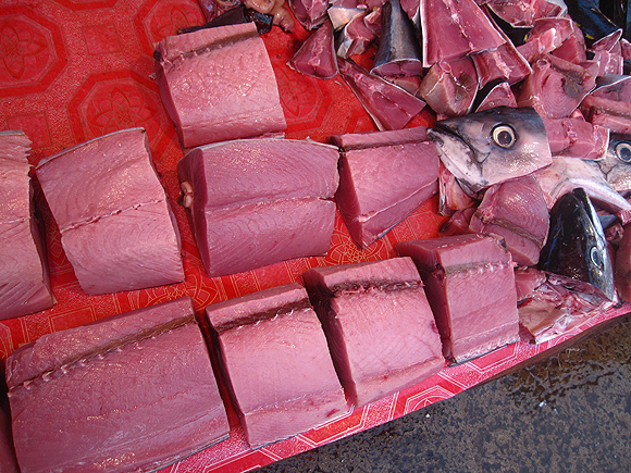 Fish in Kota Kinabalu yellow fin tuna in Borneo