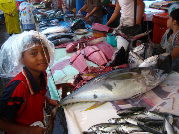 fish in kota kinabalu borneo kota kinabalu fish market