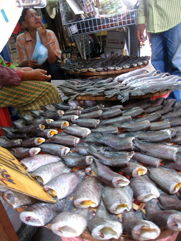 sam-chuk-fish dried fish in thailand