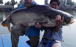 Bung Sam Lan Lake Bangkok บึงสำราญ