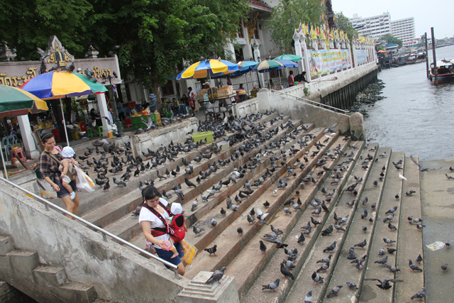 Things to do in Bangkok 101 Things to do in Bangkok