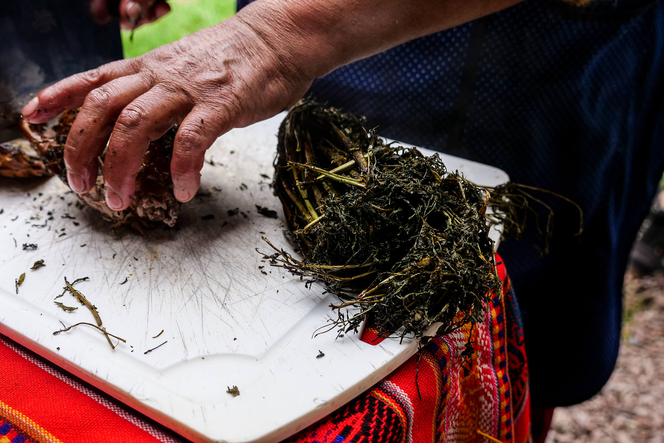 stuffing in tons of Peruvian black mint with every cooking cuy
